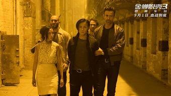 史泰龙摊牌在线播放,在线观看，揭秘动作巨星的真实人生