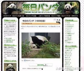 熊猫天天最新新闻爆料,最新热点事件内幕曝光！
