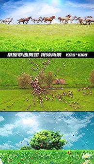 草原歌曲视频大全