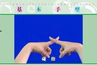 点钱的正确手势视频,标准手势操作全解析