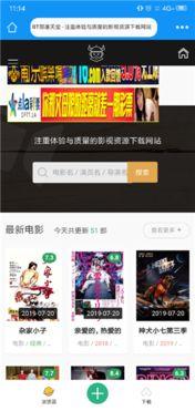 无码合集磁力下载 下载,磁力下载背后的秘密世界